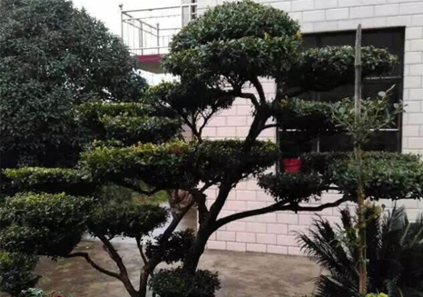 生產(chǎn)設(shè)備