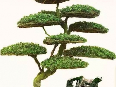 鉭釘測溫搪瓷放料閥